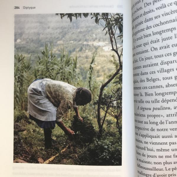 Editions ies, Diptyque, page intérieure, 2021